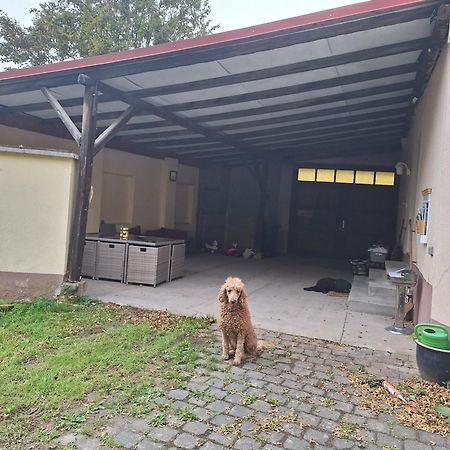 Ferienhaus Herztor Bad Bibra Exterior foto